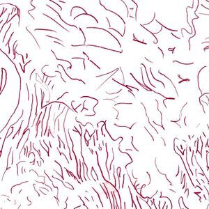 Tom Skinner - Voices Of Bishara  CD